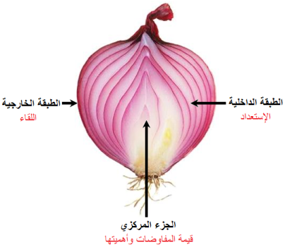 طريقة التخطيط والإستعداد للتفاوض